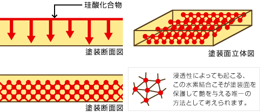 ボディーコーティング　イメージ図