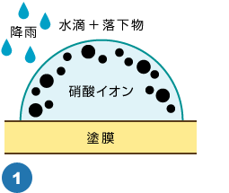 酸性雨落下物により水滴ができる。表面張力により落下物は界面に集まる。
